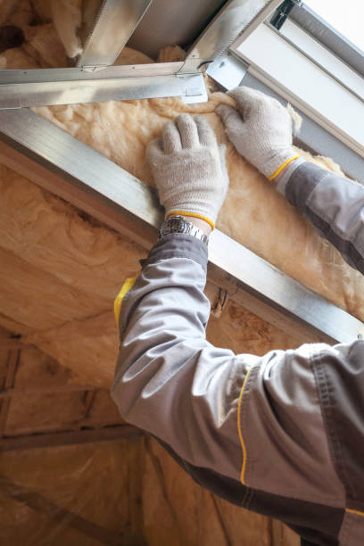 Best Insulation Repair Services  in Mcleansville, NC