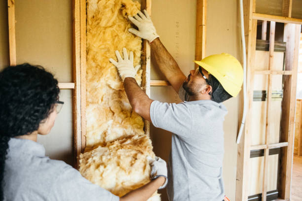 Best Soundproof Insulation Installation  in Mcleansville, NC