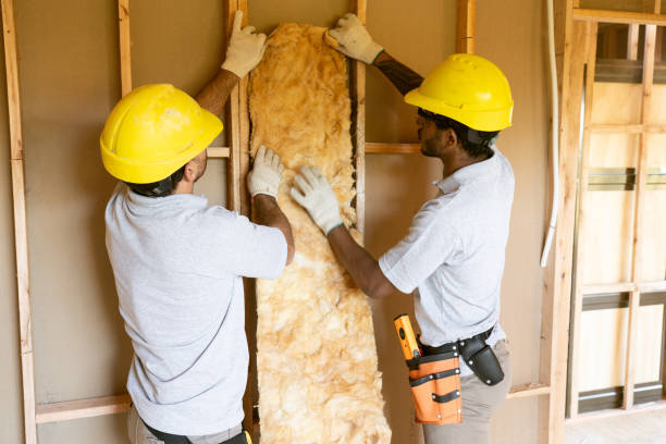 Best Wall Insulation Contractor  in Mcleansville, NC