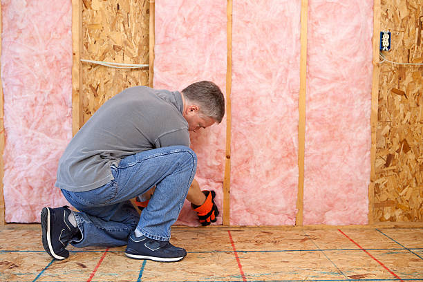 Best Residential Insulation Services  in Mcleansville, NC